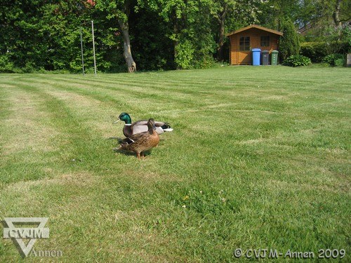 097.jpg
