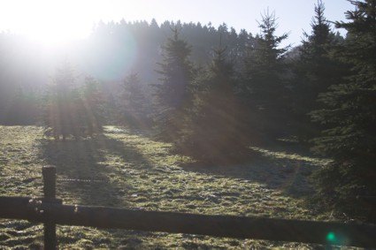 F_Holth_06_02.jpg