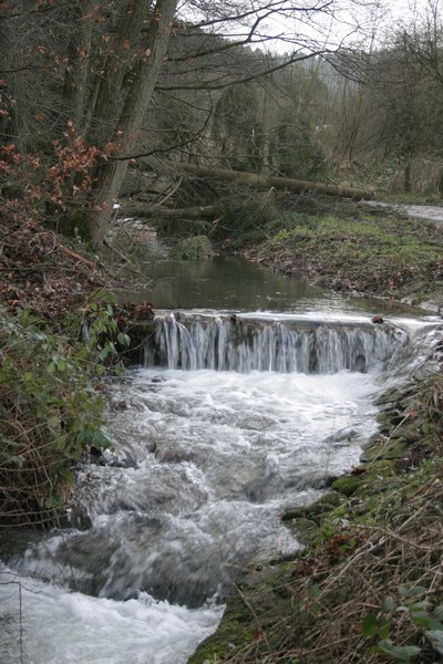 holth07_08.jpg