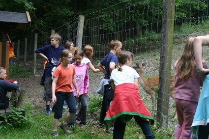F_Zelten_05_07.jpg