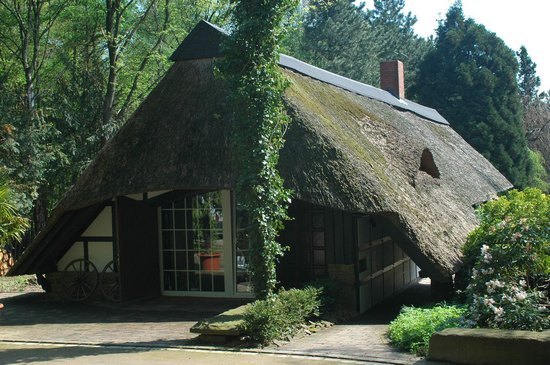 04.jpg