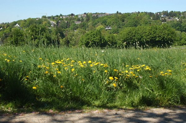13-Maiwanderg-1-5-2007-CVJM-110.JPG