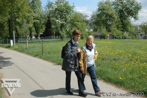 036_weg_auf_der_halle_2010.jpg